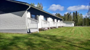Karijoen Helmi Karijoki